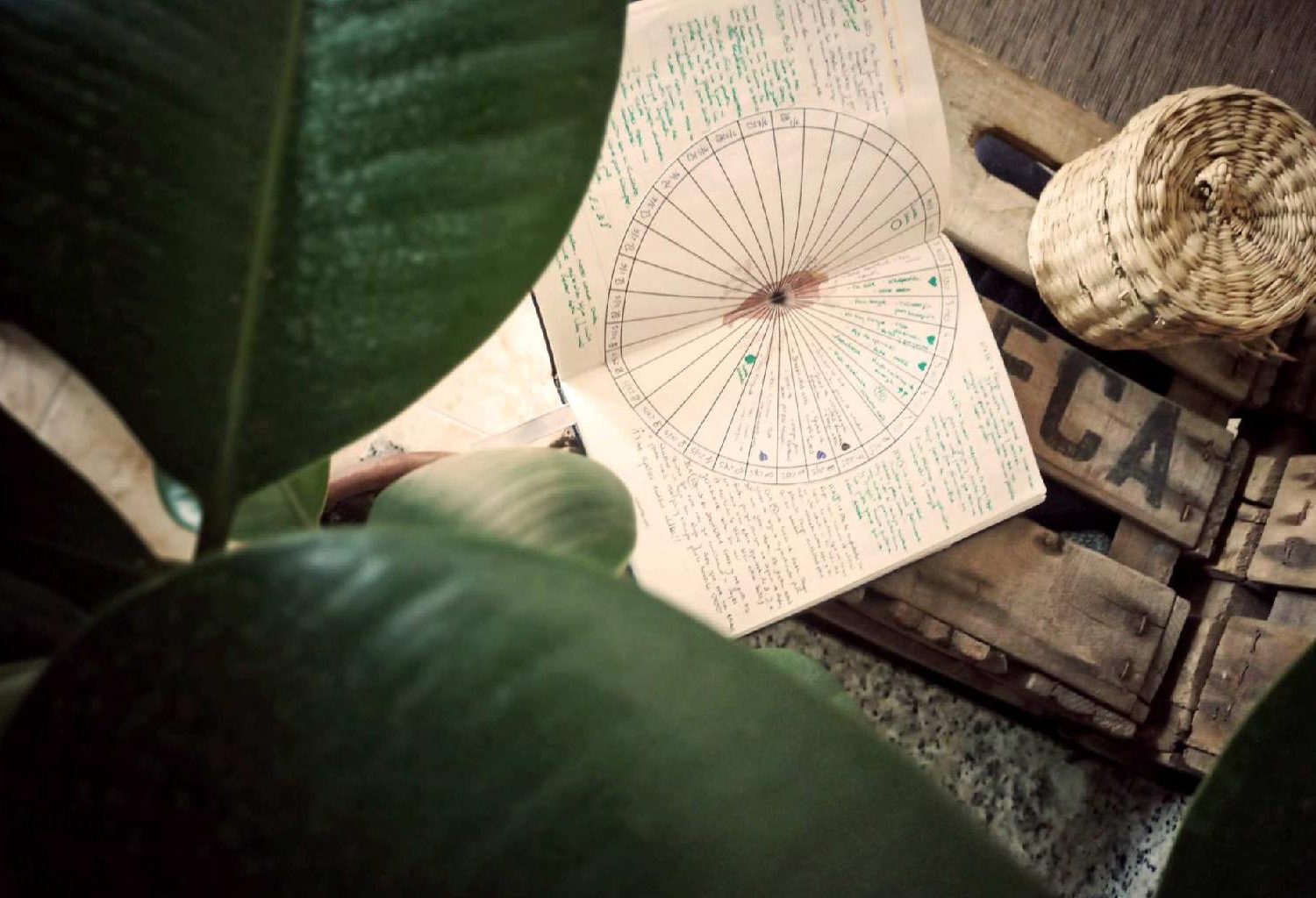 Herramientas para conocer nuestro ciclo